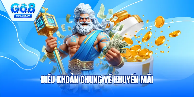 Điều khoản chung về khuyến mãi